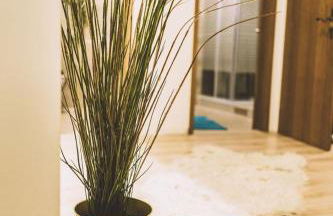 Ferienwohnung-lenne-Finnentrop - Foto 30