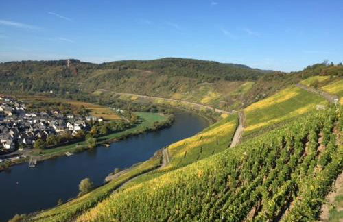 Residenz Moselstausee - Foto 56