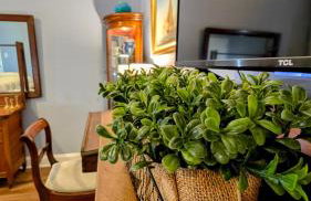 Midway Manor - Private Events, Weddings, Reunions - Foto 43