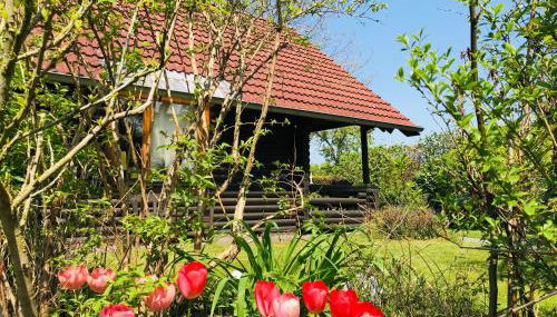 Eifel-Lounge BLOCKHAUS mit Kamin Garten Balkon nahe Köln Therme Brühl Phantasialand - Foto 4, Garden, Garden view