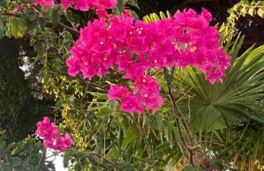 Circeo Mon Amour - Foto 7