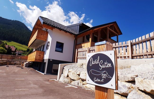 David Suiten - Foto 1