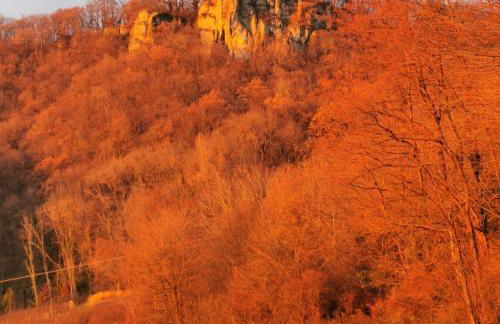 Gite les carriaux - Foto 32