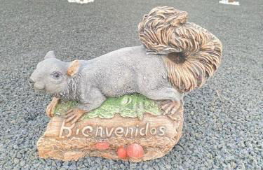 Mardelava - Photo 44