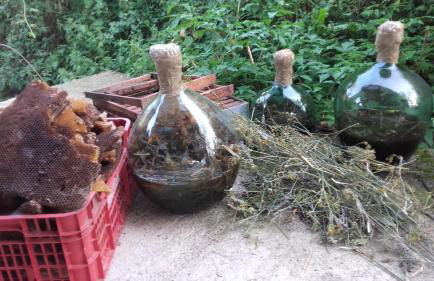 Cal Sadurní - Foto 12