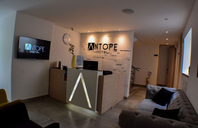 Antope - Apartaestudios - Photo 3