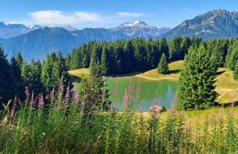 Appart SFL 1650m - Photo 16