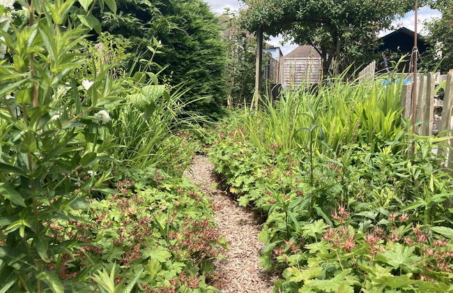 Witcroft Cottage - Foto 29