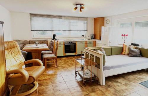 Komfortable 2-Zi-Ferienwohnung Albbruck-Schachen - Foto 1