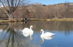 Roulotte en bois Sud France - Foto 34