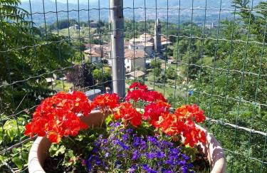 La Romanina - Foto 55