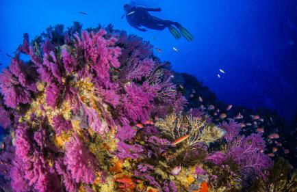 Marina Vista Puerto - Foto 34