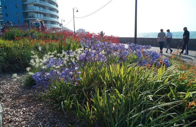 Westward HO Horizon View 17 2 Bedrooms - Foto 15