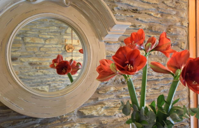 Holiday Home in Tenneville With Private Sauna - Foto 30