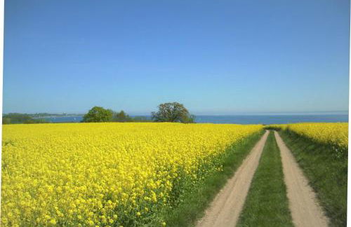 Ferienpark Sierksdorf Nautilus Panorama-Meerblick - Foto 16