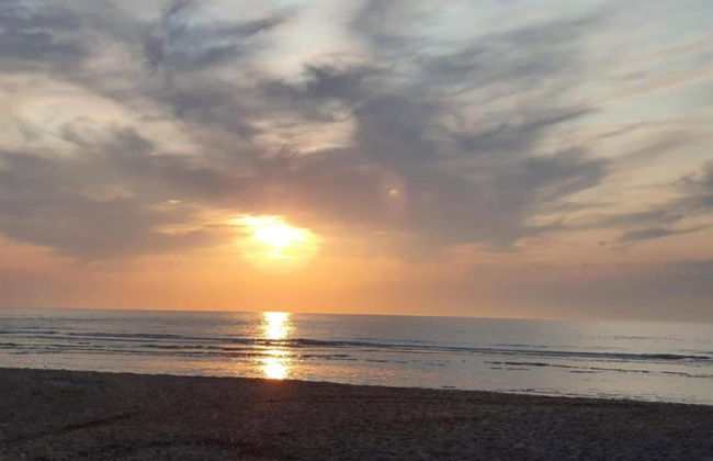 Cozy Chalet in Vrouwenpolder With Garden - Foto 39