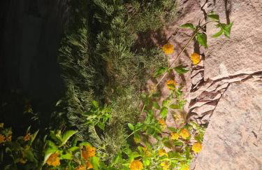 Villa Andorinha -Apto01 - Foto 33