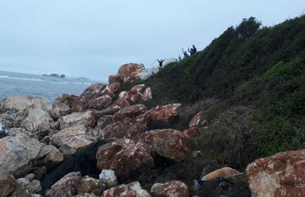 Apartamento CONFORT CLUB FRENTE MAR completo. - Photo 49