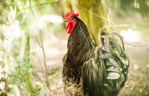 Gästehaus Bünner Hof - Foto 27