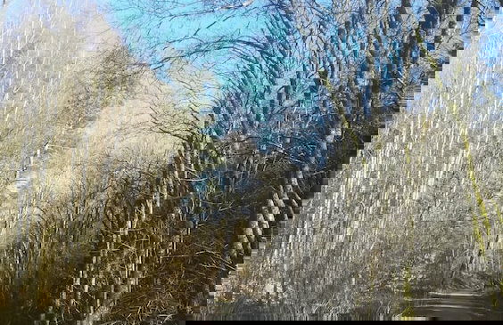 Nice Chalet by the Woods in Saint-leger - Photo 38