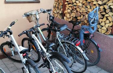 PILGRIM domek gościnny w Gietrzwałdzie na Warmii - Foto 9