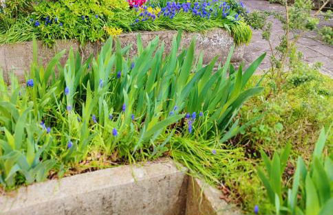 Le cosy duplex centre - Foto 18