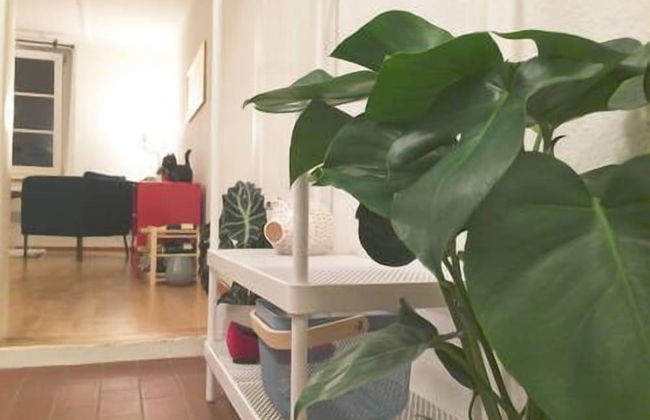 In Swiss Home - Rathaus 1284 historical - Foto 3