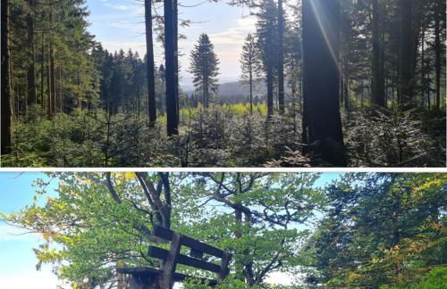 Fewo Kleine Auszeit - Foto 42