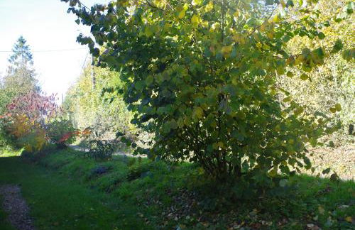 Ndila Cottage piscine privée - Foto 61