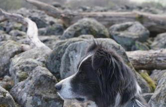 Ferienhof Spiegel - Foto 13