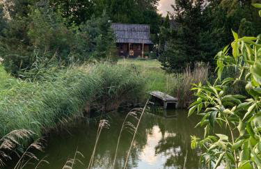 Domek Samice - Foto 39