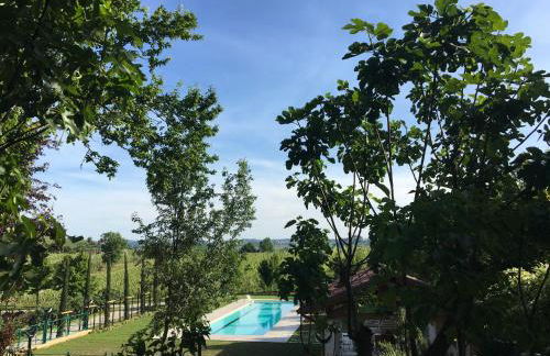 Agriturismo Relais "il Bricco" - Foto 89