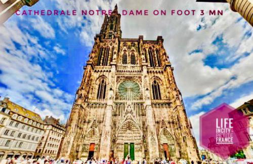 LİFE İNCİTY - PETITE FRANCE by Life Renaissance - Foto 17