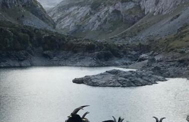 Appartement GAVARNIE Résidence Les 3 Cirques - Foto 28