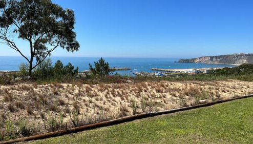 Atlantic view - Foto 1, Garden