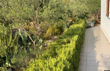 Apartman Ruža - Photo 24