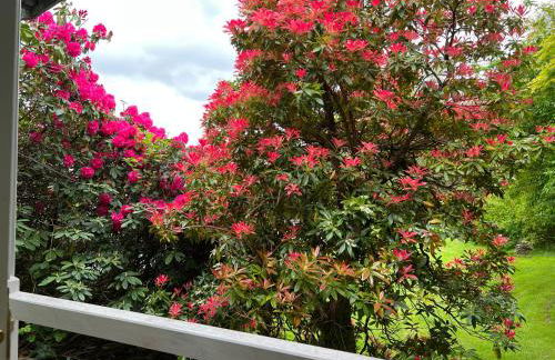 Treeside woodhouse - Foto 24