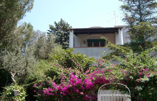 Villa Matisse - Damecuta Park - Foto 13