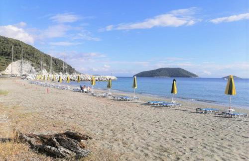 Lilian Beachfront Apartments - Foto 3