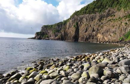 Quinta das Primas - Foto 41