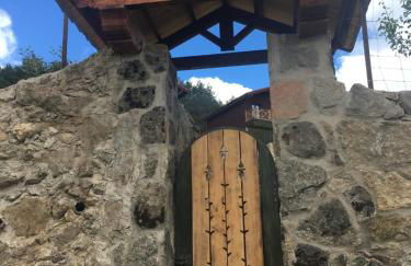 Cara norte de Gredos - Photo 43