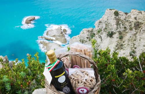 Gallo Fino - Foto 57