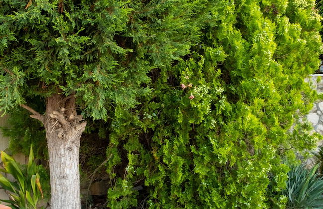 Bivalvia Apartments - Foto 64