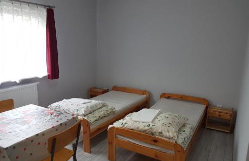 Newland Wójtowicz - Foto 34