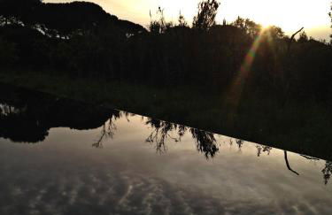 Quinta Do Miguel - Foto 15