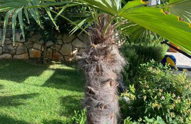 Villa Androcec - Foto 54