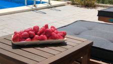 Holiday Home Bepo - Foto 3