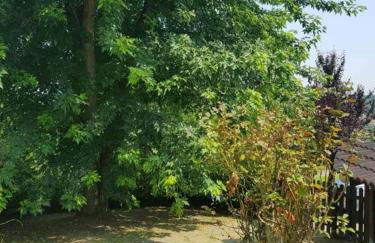 QUIET HOUSE GARDEN NAPLES-POMPEI-SORRENTO - Foto 14