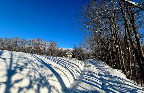 Waldlerhof - Foto 11