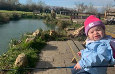 Beech Pod Cabin in Beautiful Surroundings Wrexham - Foto 46